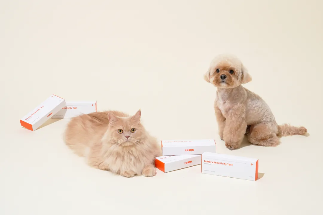 강아지와 고양이, 식이 민감도 검사 제품